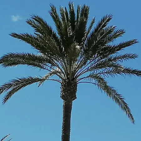 Lägenhet Mirador De Aguamarina *